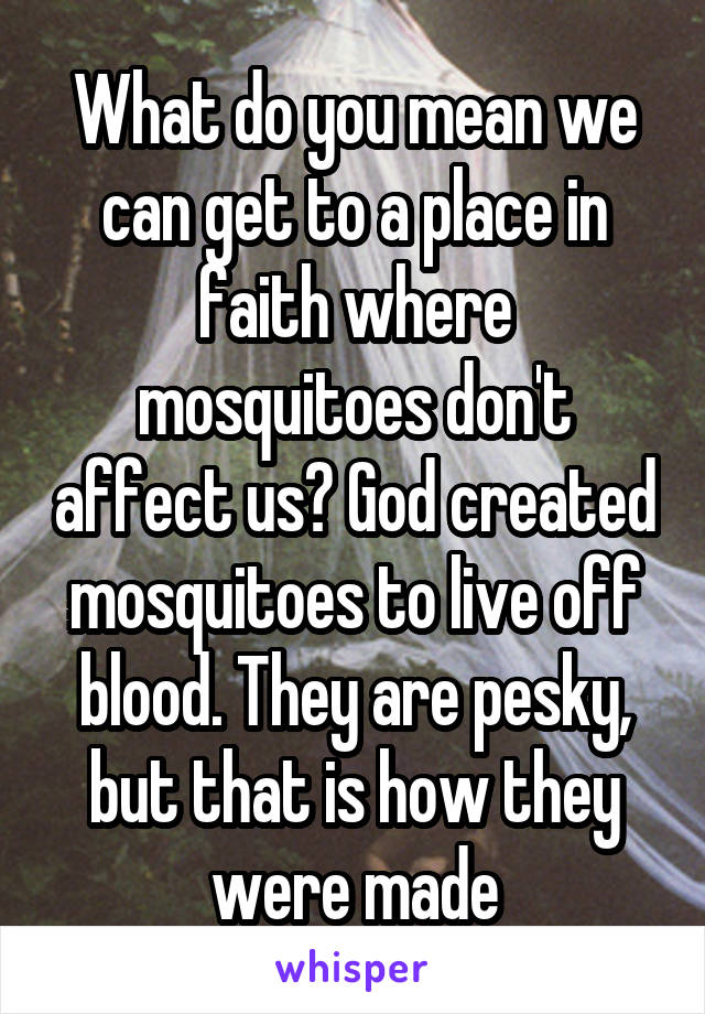 What do you mean we can get to a place in faith where mosquitoes don't affect us? God created mosquitoes to live off blood. They are pesky, but that is how they were made