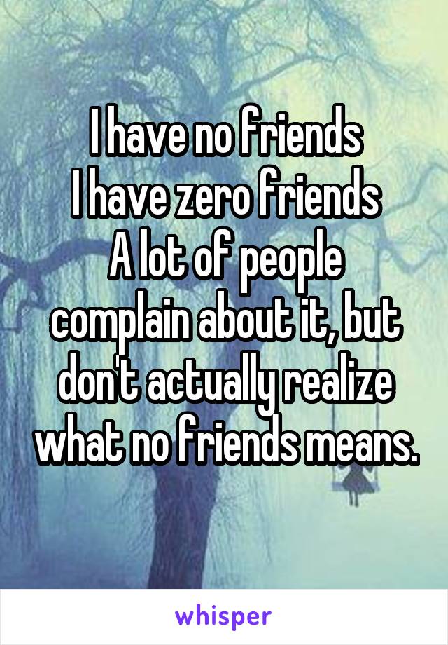 I have no friends
I have zero friends
A lot of people complain about it, but don't actually realize what no friends means.
