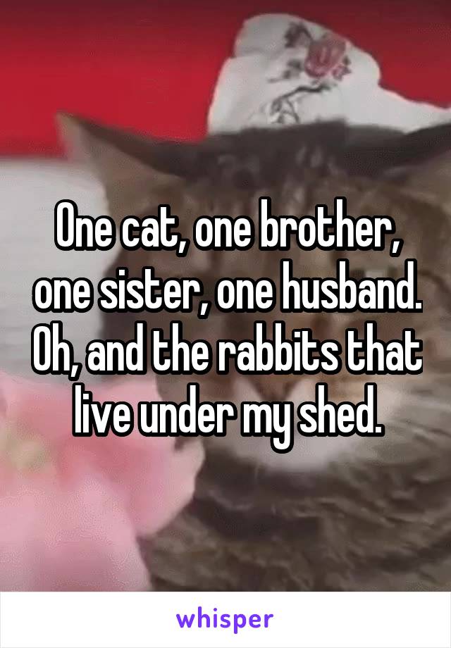 One cat, one brother, one sister, one husband. Oh, and the rabbits that live under my shed.