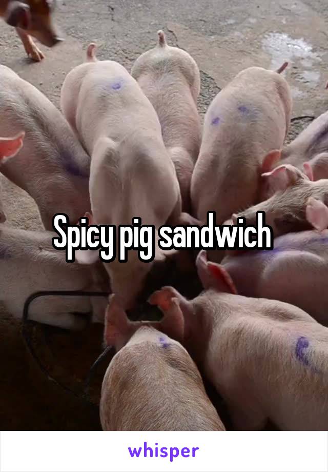Spicy pig sandwich 
