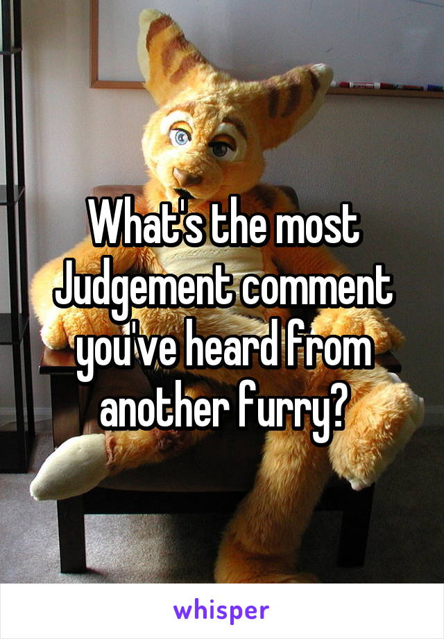 What's the most Judgement comment you've heard from another furry?