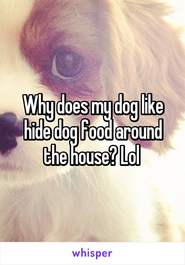 Why does my dog like hide dog food around the house? Lol 