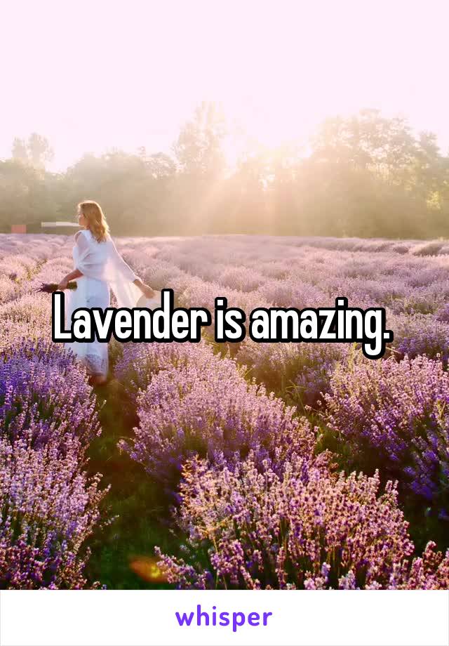 Lavender is amazing. 