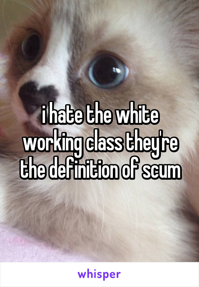 i hate the white working class they're the definition of scum