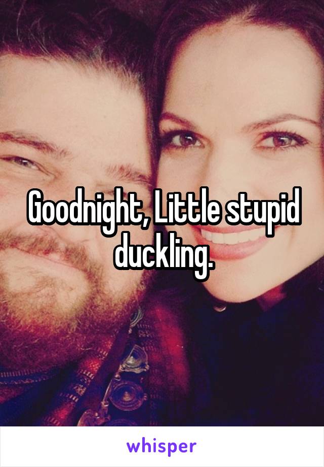 Goodnight, Little stupid duckling.