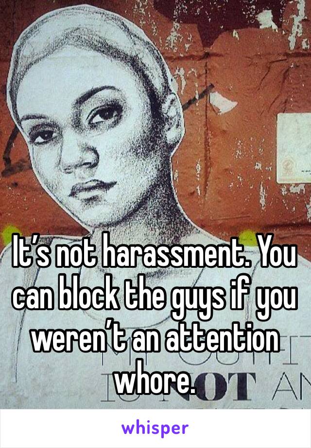 It’s not harassment. You can block the guys if you weren’t an attention whore. 