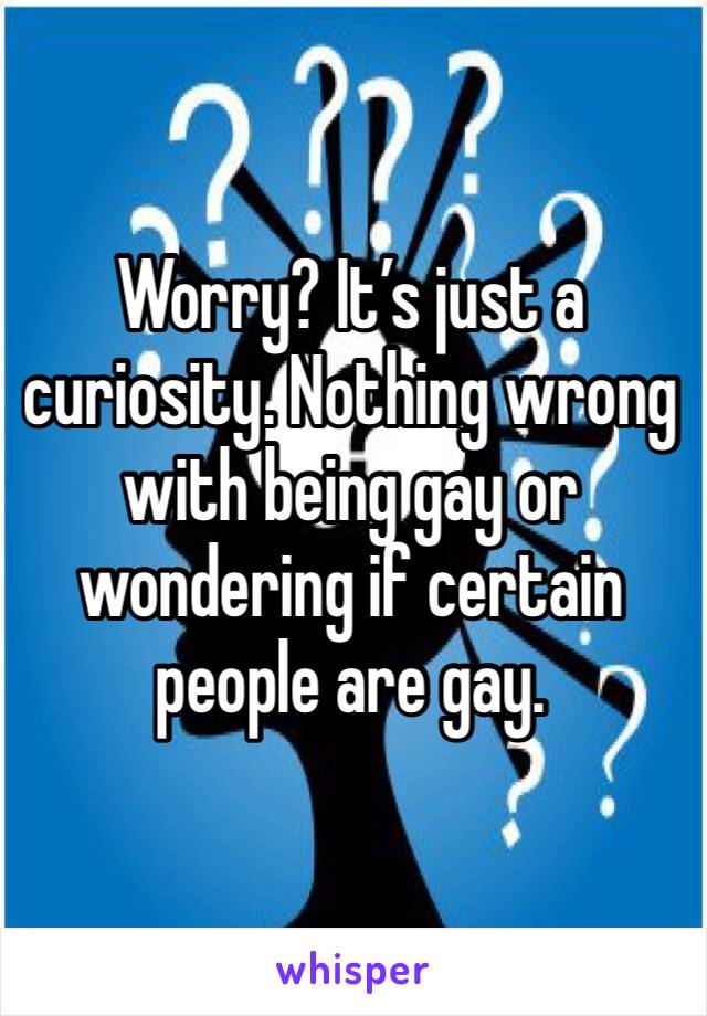 Worry? It’s just a curiosity. Nothing wrong with being gay or wondering if certain people are gay.