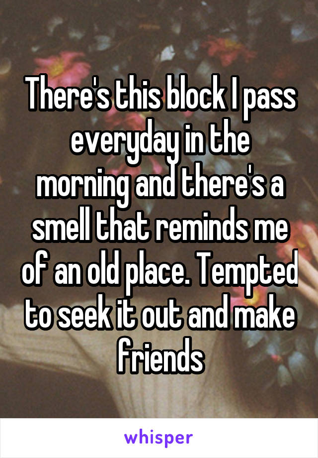 There's this block I pass everyday in the morning and there's a smell that reminds me of an old place. Tempted to seek it out and make friends