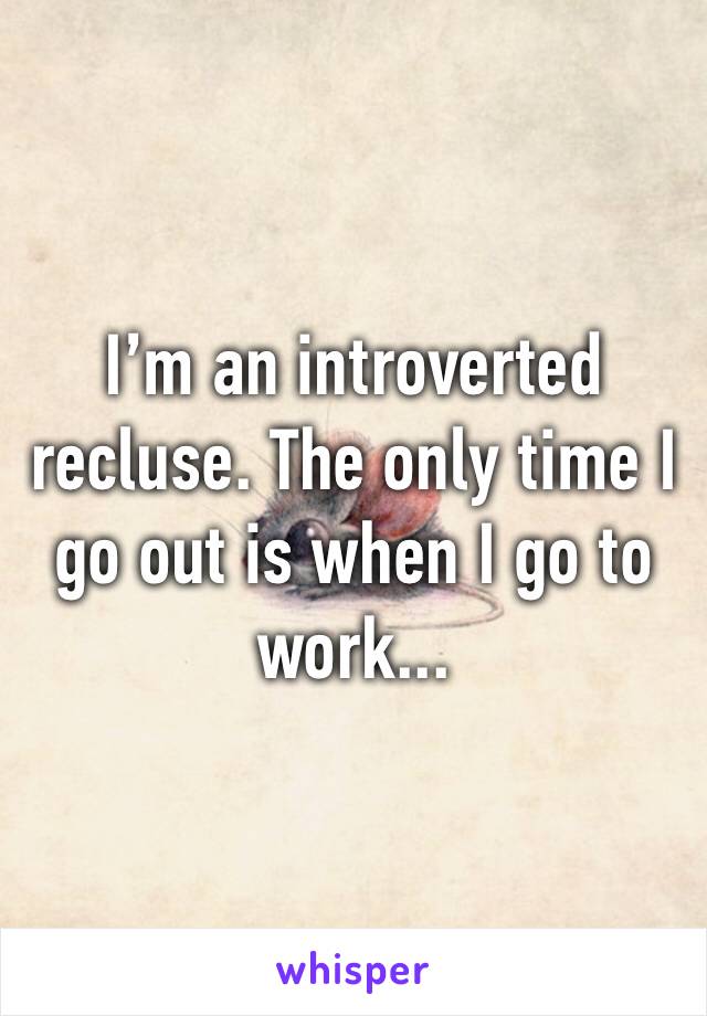 I’m an introverted recluse. The only time I go out is when I go to work...