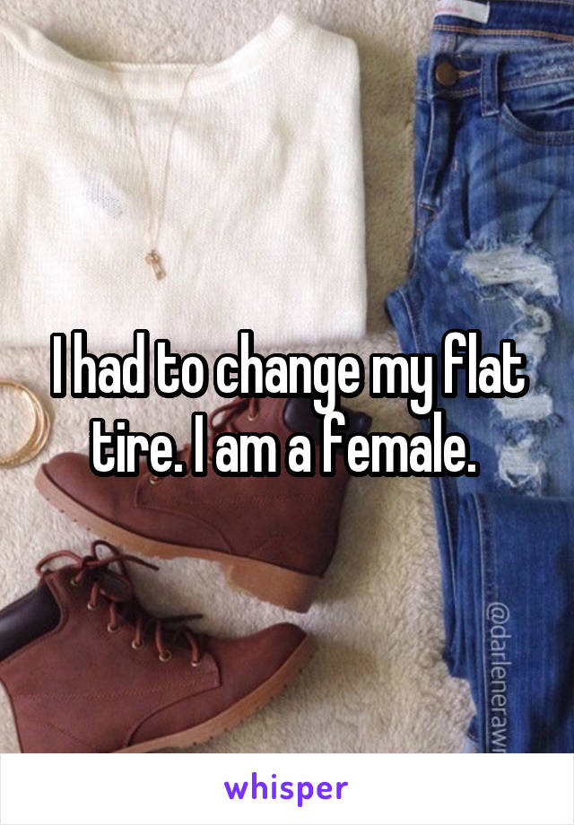 I had to change my flat tire. I am a female. 