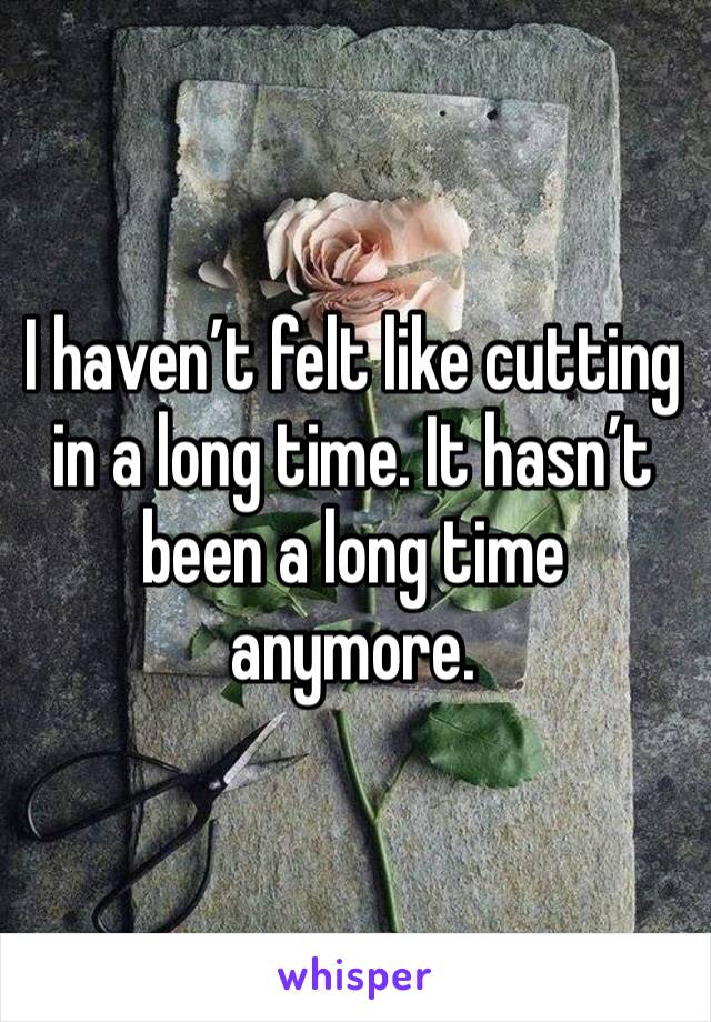 I haven’t felt like cutting in a long time. It hasn’t been a long time anymore. 