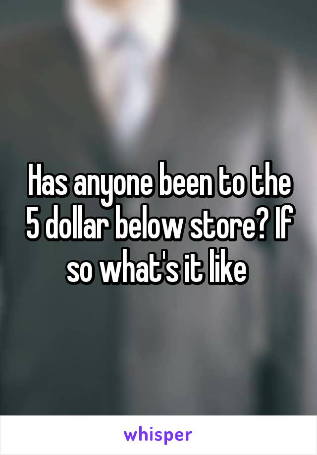 Has anyone been to the 5 dollar below store? If so what's it like 