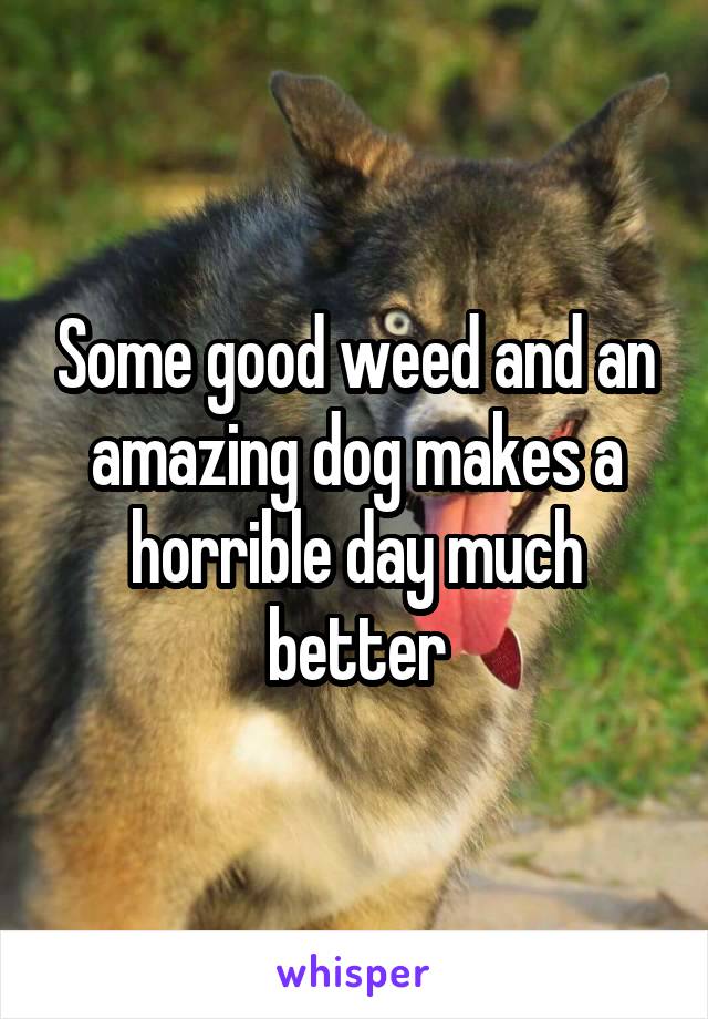 Some good weed and an amazing dog makes a horrible day much better