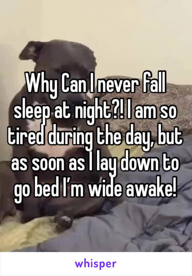 Why Can I never fall sleep at night?! I am so tired during the day, but as soon as I lay down to go bed I’m wide awake!