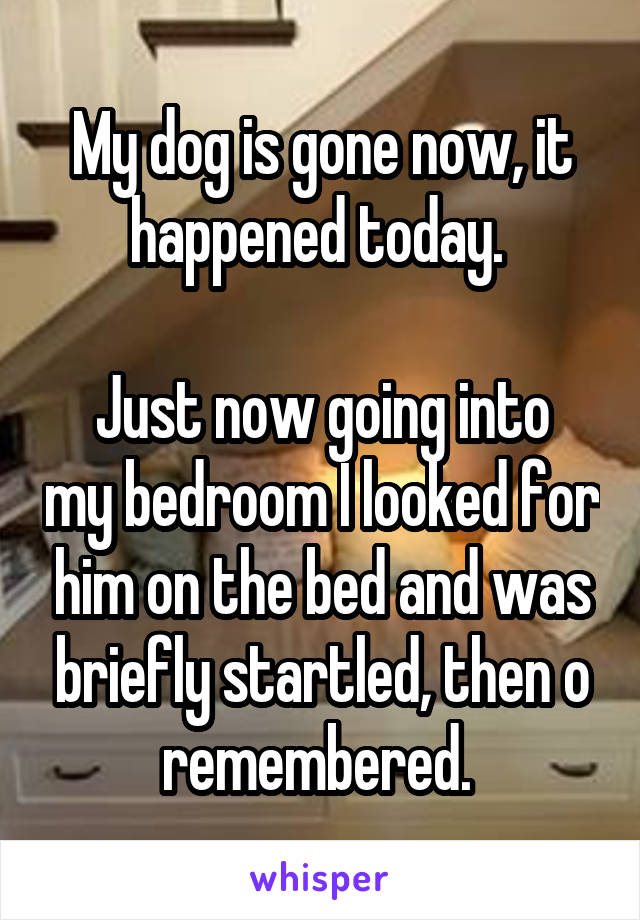 My dog is gone now, it happened today. 

Just now going into my bedroom I looked for him on the bed and was briefly startled, then o remembered. 
