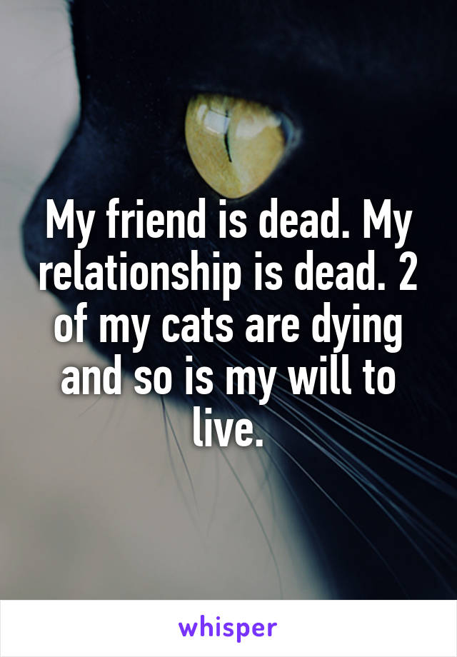 My friend is dead. My relationship is dead. 2 of my cats are dying and so is my will to live.