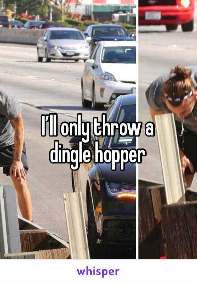 I’ll only throw a dingle hopper 