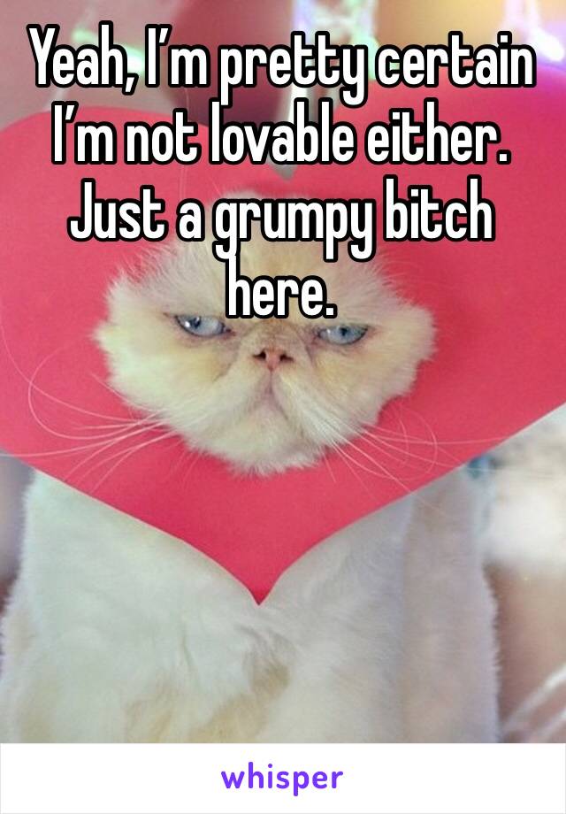 Yeah, I’m pretty certain I’m not lovable either. Just a grumpy bitch here.