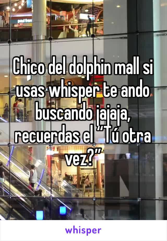 Chico del dolphin mall si usas whisper te ando buscando jajaja, recuerdas el “Tú otra vez?”
