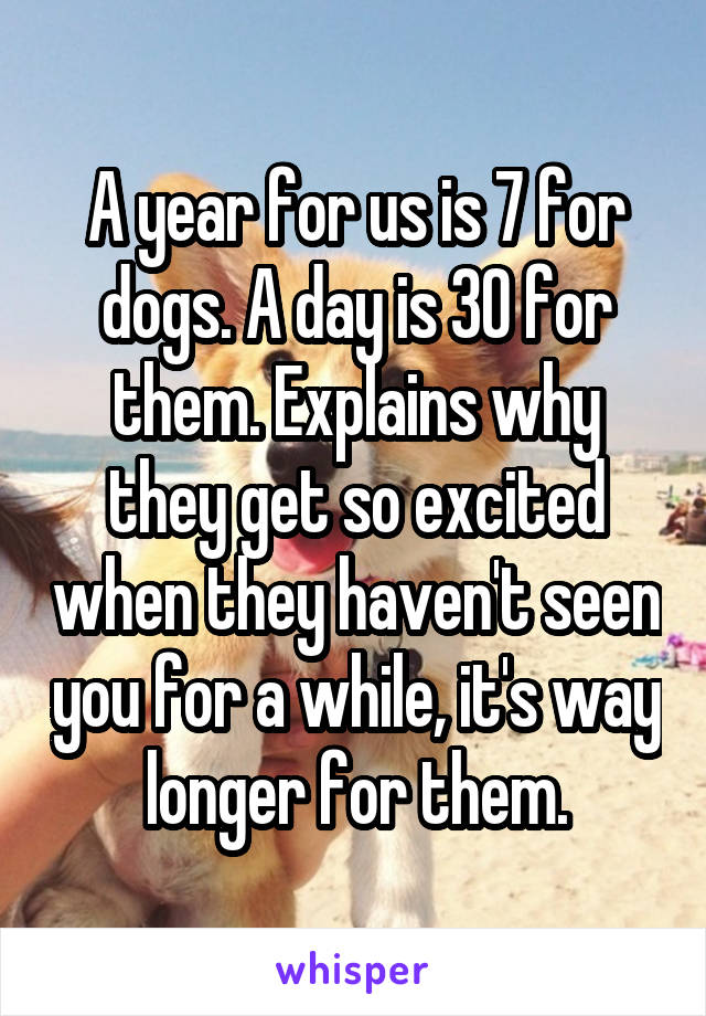 A year for us is 7 for dogs. A day is 30 for them. Explains why they get so excited when they haven't seen you for a while, it's way longer for them.
