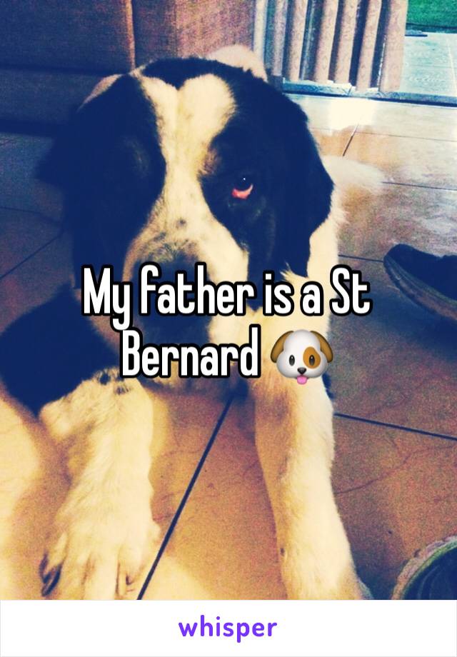 My father is a St Bernard 🐶