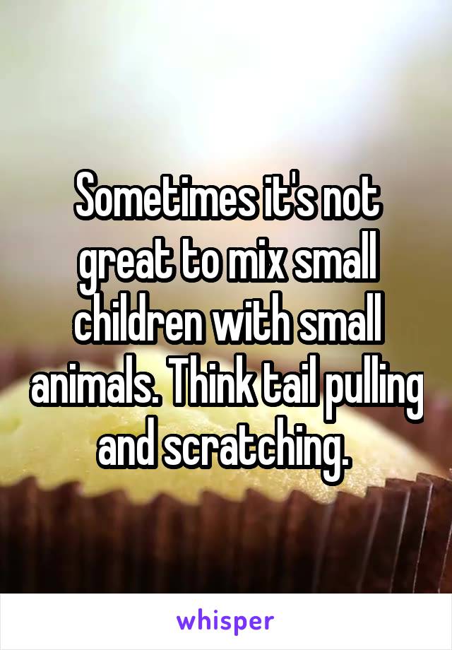 Sometimes it's not great to mix small children with small animals. Think tail pulling and scratching. 