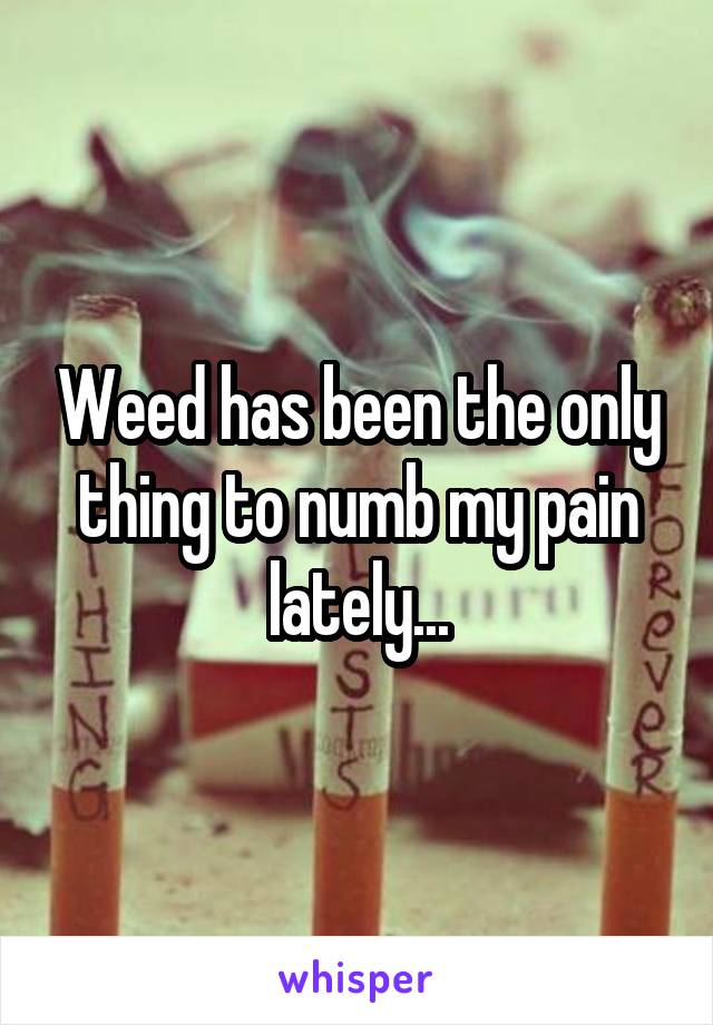 Weed has been the only thing to numb my pain lately...