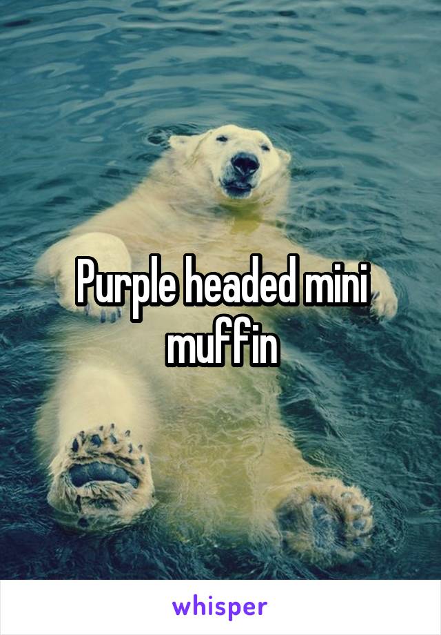 Purple headed mini muffin