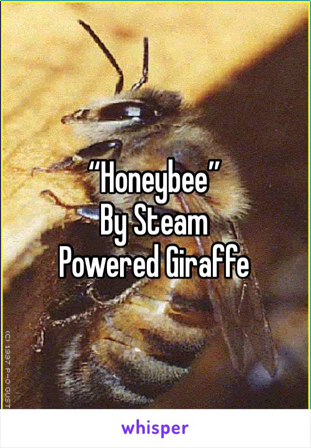 “Honeybee”
By Steam Powered Giraffe