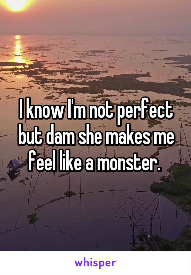 I know I'm not perfect but dam she makes me feel like a monster. 