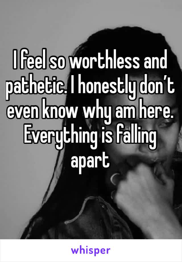 I feel so worthless and pathetic. I honestly don’t even know why am here.  Everything is falling apart