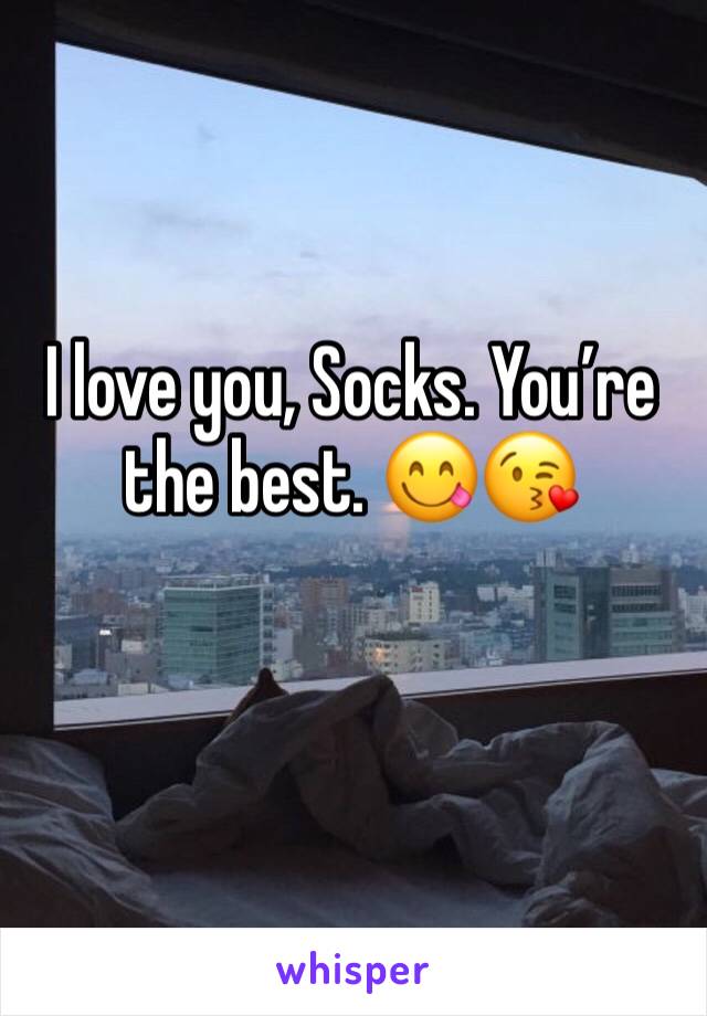 I love you, Socks. You’re the best. 😋😘