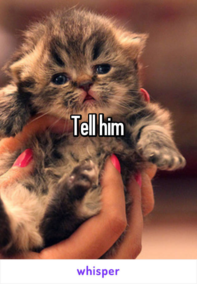Tell him 
