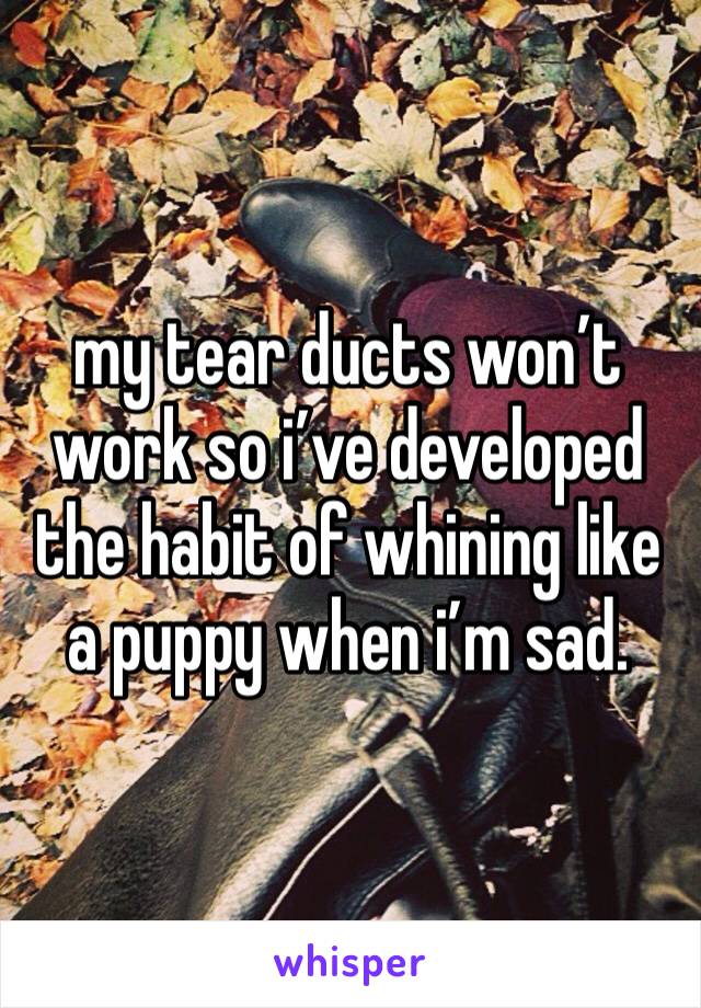 my tear ducts won’t work so i’ve developed the habit of whining like a puppy when i’m sad. 