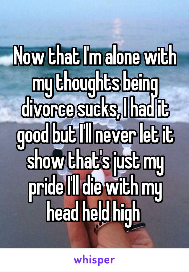 Now that I'm alone with my thoughts being divorce sucks, I had it good but I'll never let it show that's just my pride I'll die with my head held high 