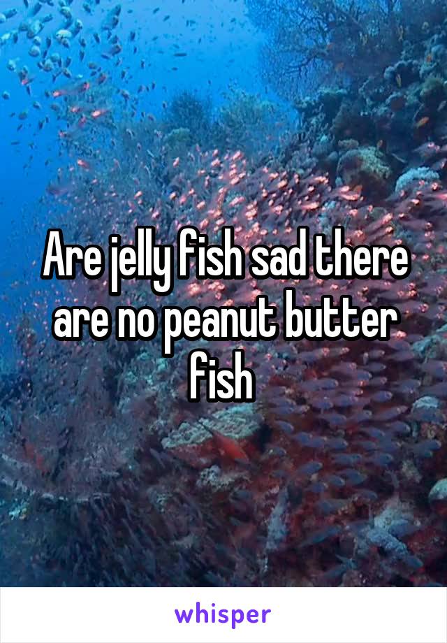 Are jelly fish sad there are no peanut butter fish 