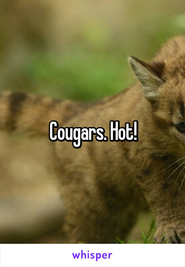Cougars. Hot!