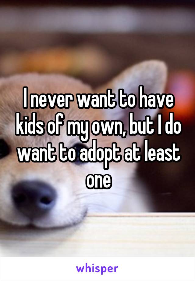 I never want to have kids of my own, but I do want to adopt at least one