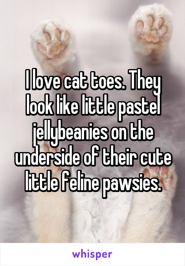 I love cat toes. They look like little pastel jellybeanies on the underside of their cute little feline pawsies.