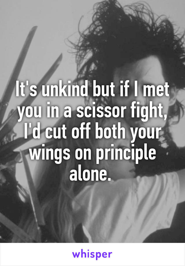 It's unkind but if I met you in a scissor fight, I'd cut off both your wings on principle alone. 