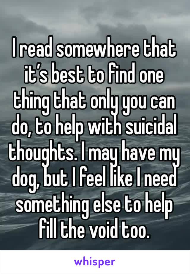 I read somewhere that it’s best to find one thing that only you can do, to help with suicidal thoughts. I may have my dog, but I feel like I need something else to help fill the void too.