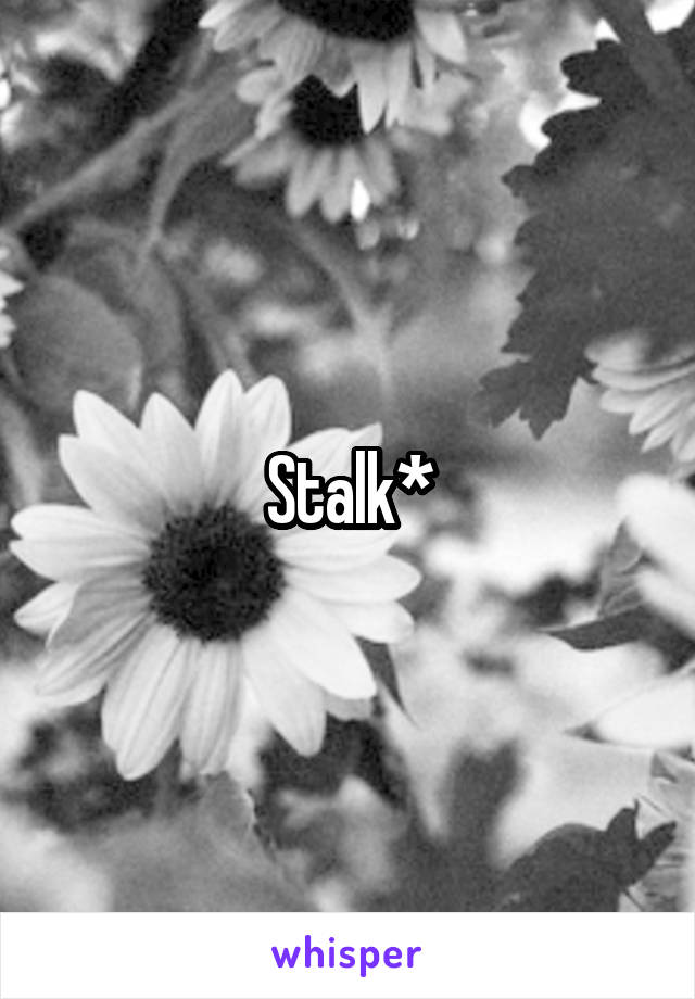 Stalk*