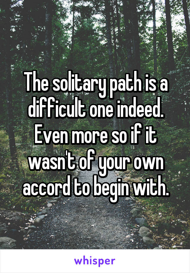 The solitary path is a difficult one indeed. Even more so if it wasn't of your own accord to begin with.