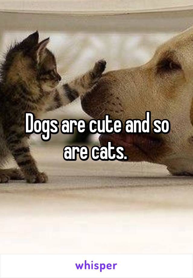 Dogs are cute and so are cats. 