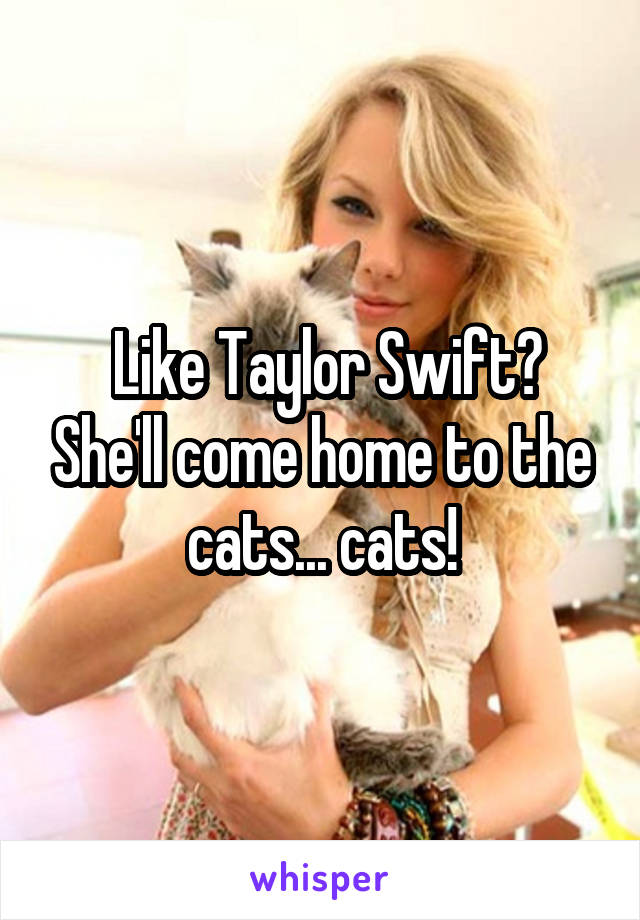  Like Taylor Swift? She'll come home to the cats... cats!