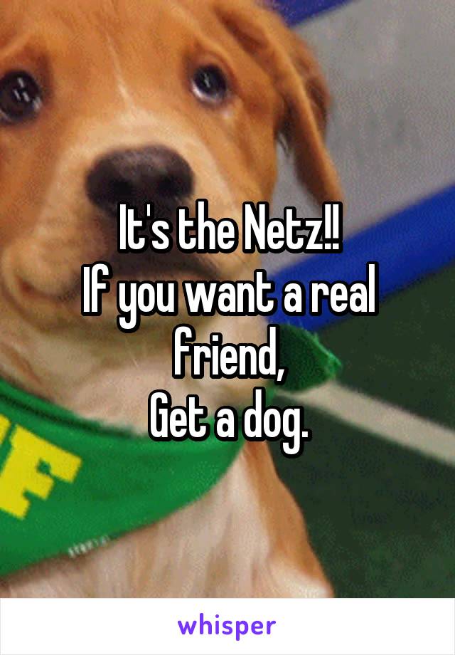 It's the Netz!!
If you want a real friend,
Get a dog.