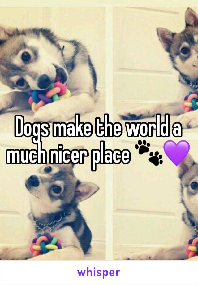 Dogs make the world a much nicer place 🐾💜