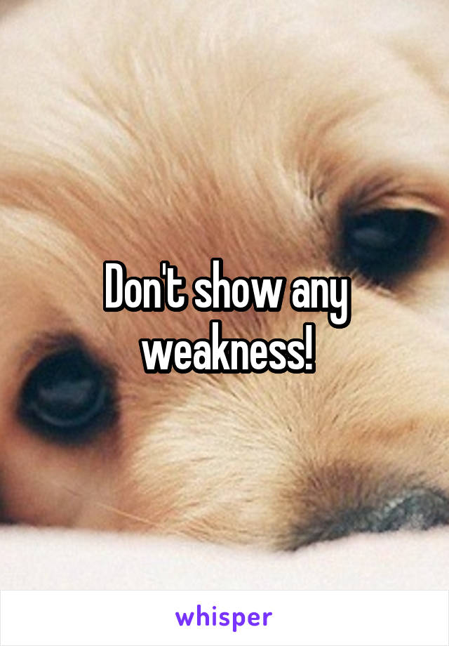 Don't show any weakness!