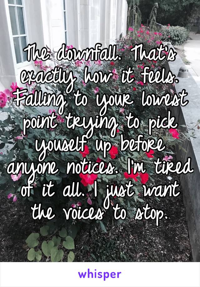 The downfall. That’s exactly how it feels. Falling to your lowest point trying to pick youself up before anyone notices. I’m tired of it all. I just want the voices to stop.