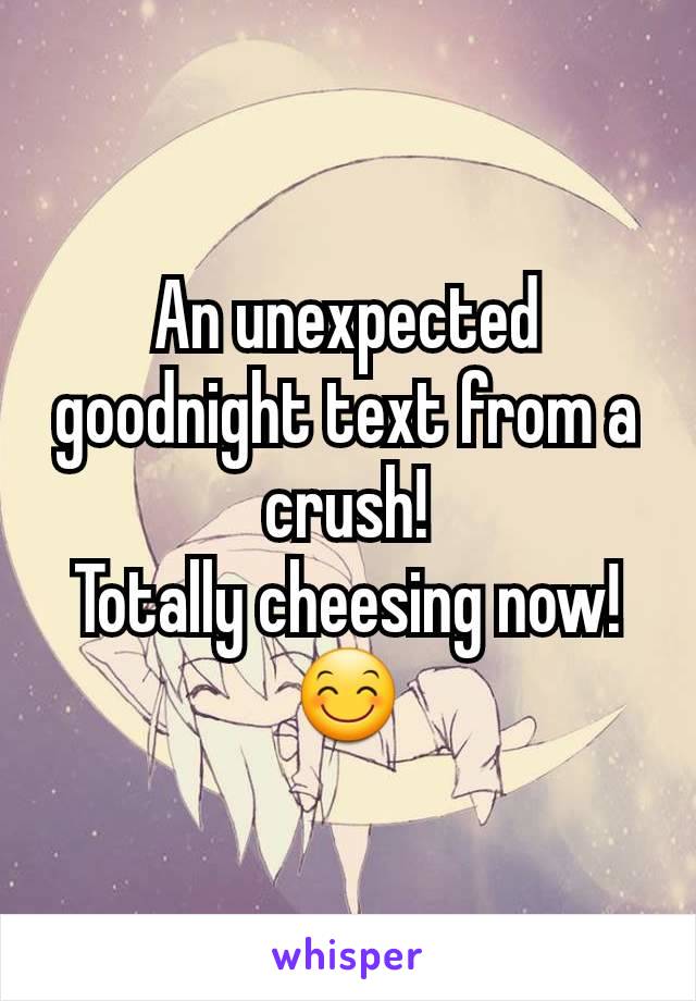 An unexpected goodnight text from a crush!
Totally cheesing now! 😊